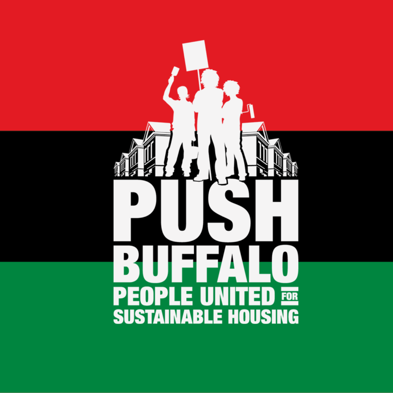 Image of Black Liberation flag with PUSH logo on it.